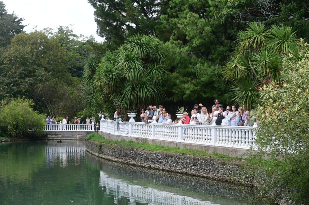 Юбилей в стиле модерн: парк «Южные культуры» в Сочи отметил 115 лет