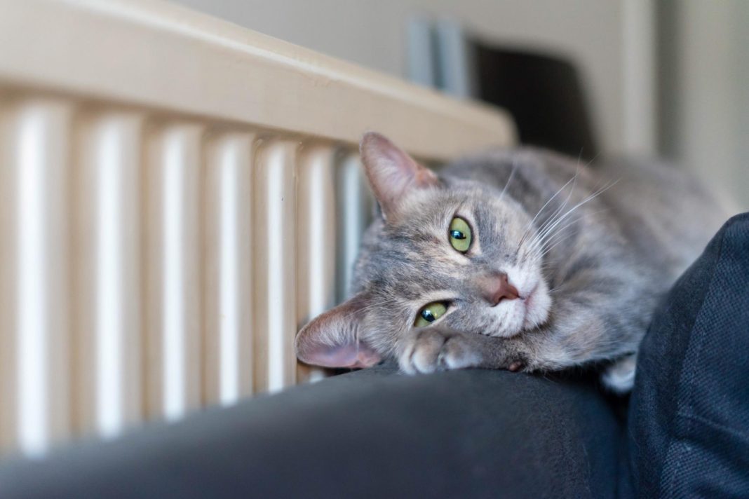 Отопительный сезон в прибрежном кластере Сочи стартует 5 ноября