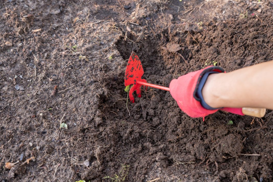 24-летняя сочинка хотела сбыть 19 «закладок» с наркотиками, но попалась полиции