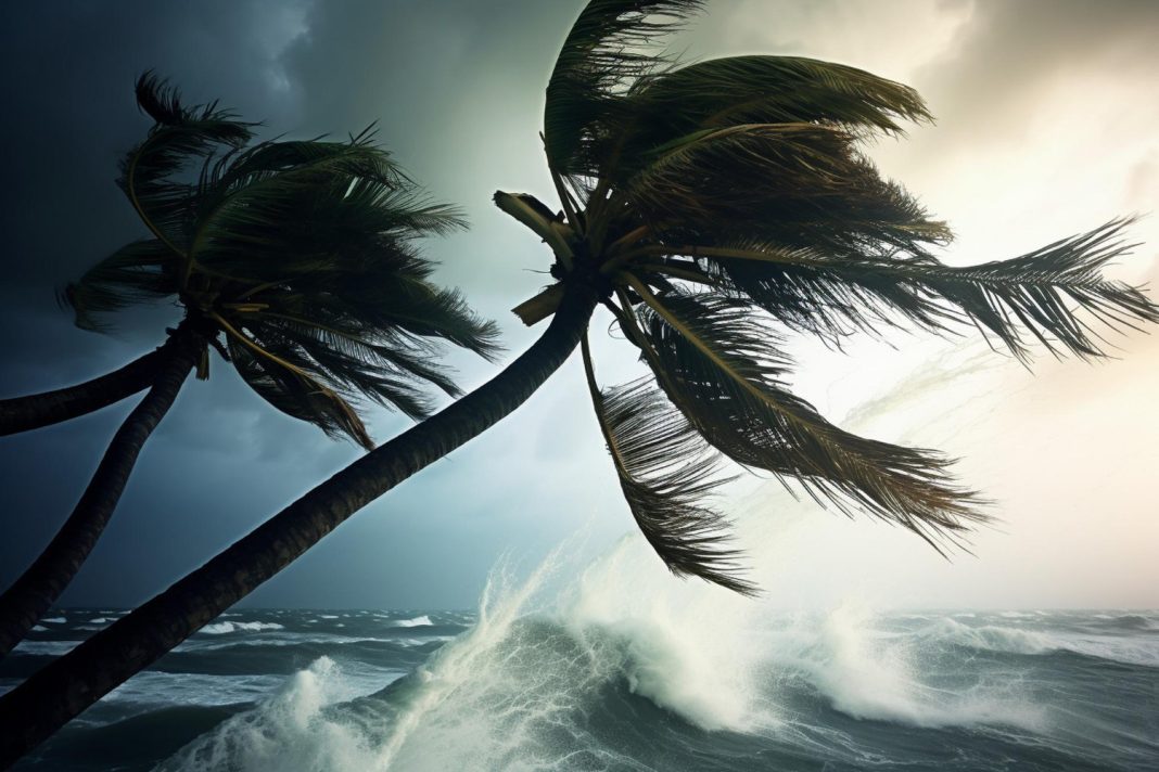 В Сочи объявлено предупреждение из-за ветра и волн высотой до двух метров