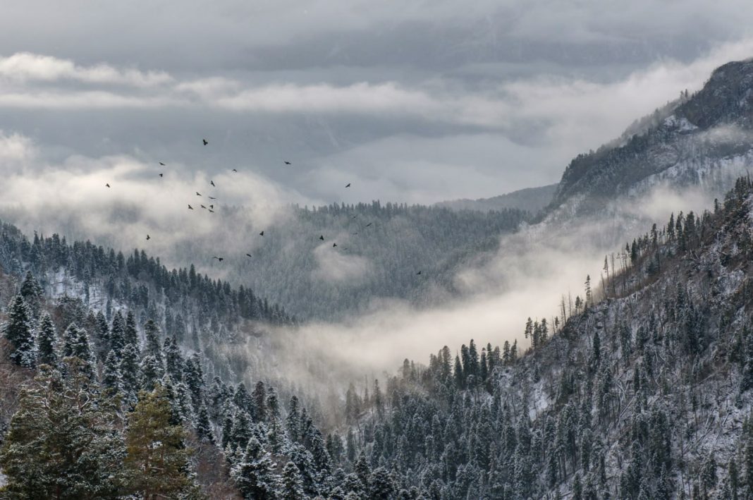 В Кавказском заповеднике рассказали, что на самом деле случилось с туристами, за которыми отправили вертолет