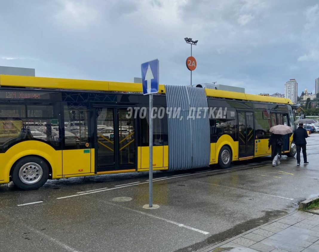 Эпоха «гармошек» возвращается: новые автобусы вышли на сочинские маршруты