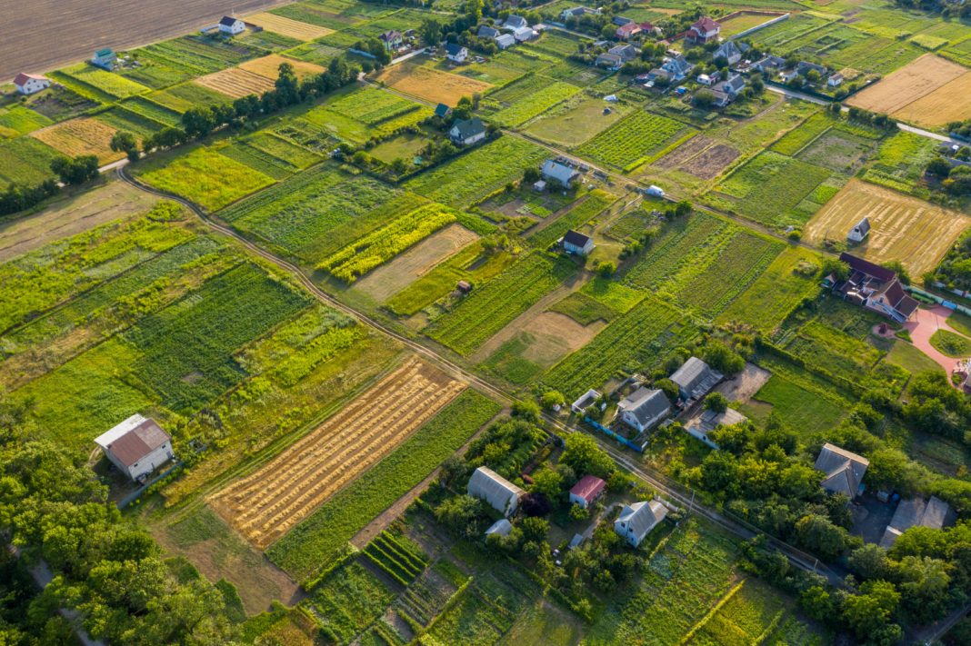 Юристы сочинского адвокатского бюро «Присяжный поверенный» добились победы в резонансном деле
