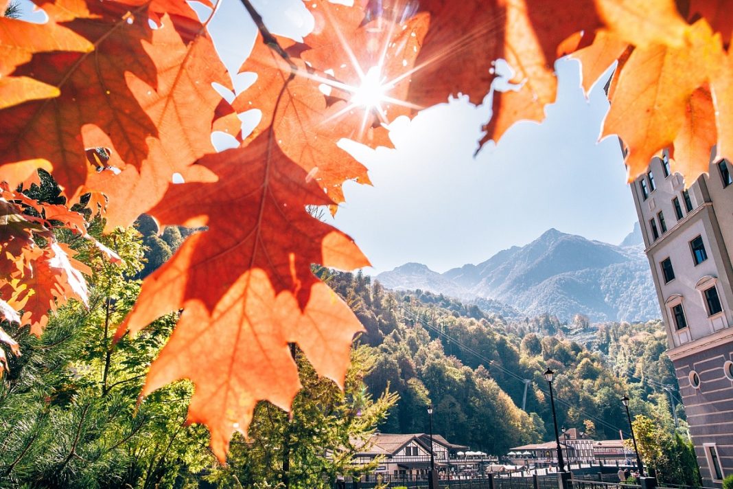 Нескучные каникулы: Сочи готовит для детей культурный и активный отдых