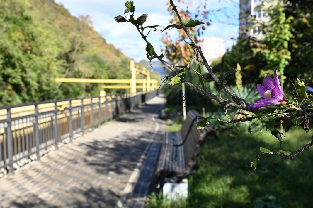 Сочи продолжает преображаться: в Дагомысе строят новую аллею
