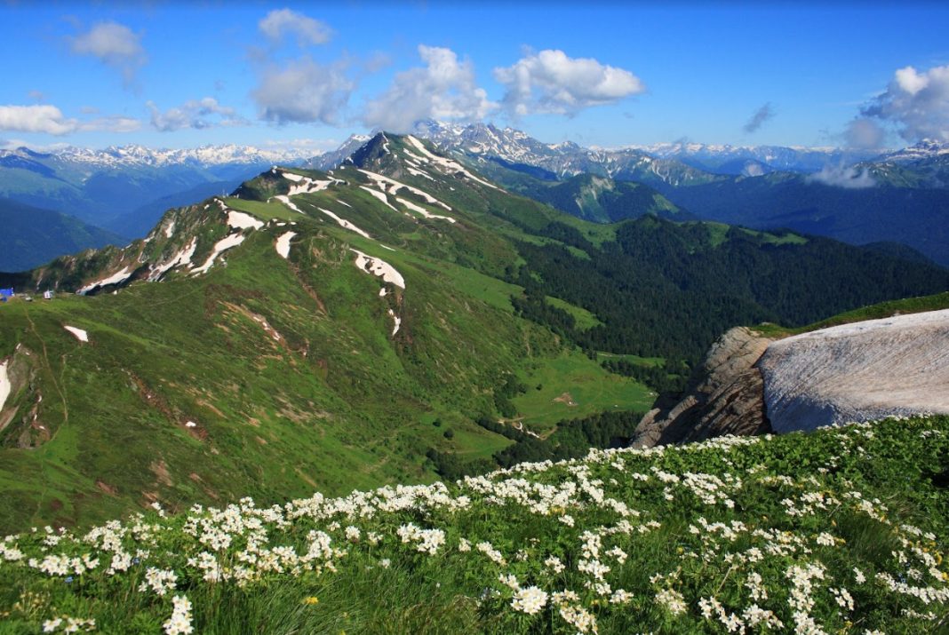 Магнит для туристов: Сочинский национальный парк посетили свыше 2,2 млн гостей