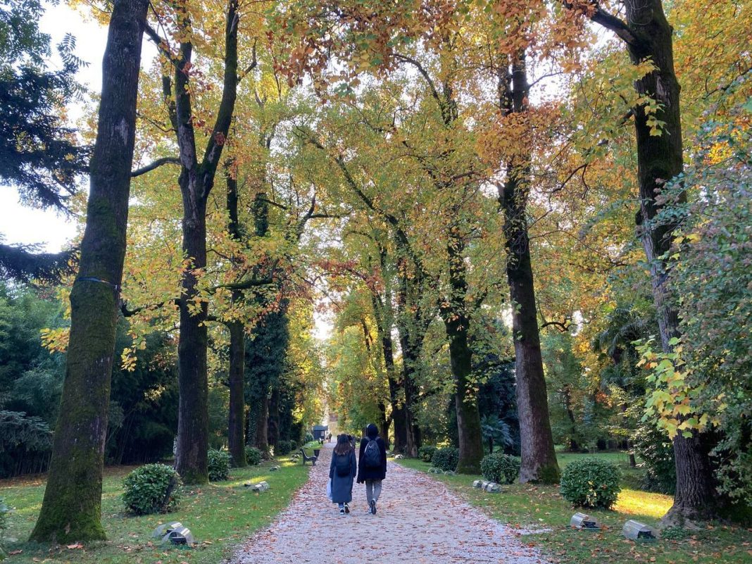 Кавказский заповедник приглашает: в сочинском парке «Южные культуры» пройдет «Ночь искусств»