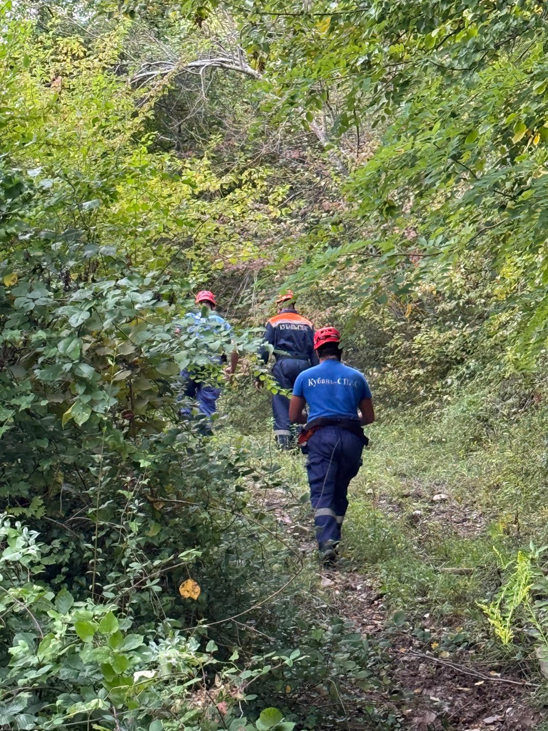 Турист из Москвы отправился в горы Сочи на велосипеде и не смог вернуться