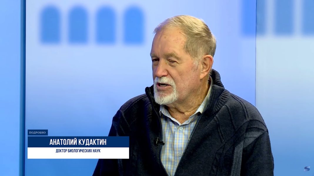 Ученый: в окрестностях Сочи постоянно живут уже более 50 «мусорных» медведей