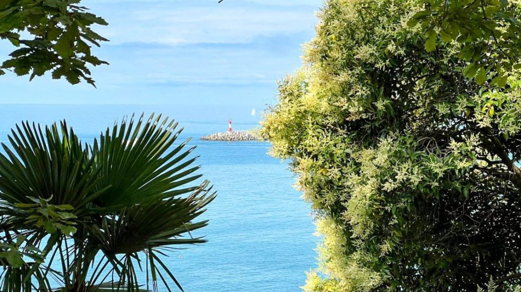 Заход парома по маршруту Трабзон–Сочи все еще не санкционирован из-за вопросов безопасности