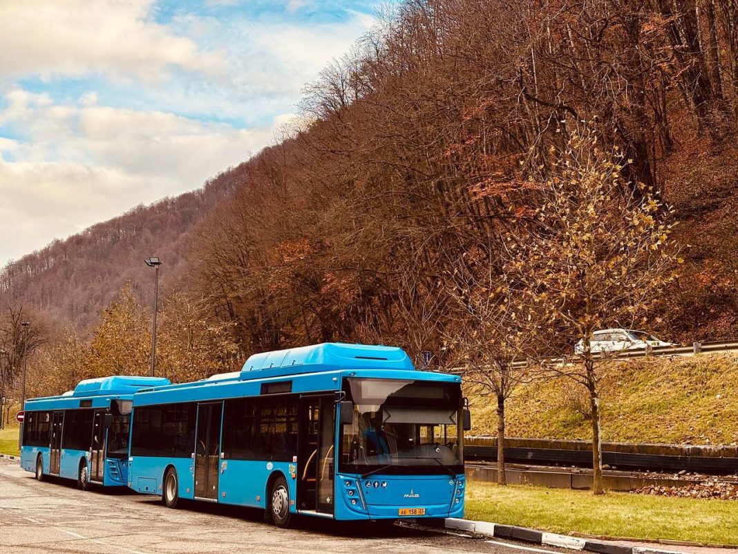 В Сочи из-за гонок скорректируют движение автобусов на линии Дагомыс – Солохаул
