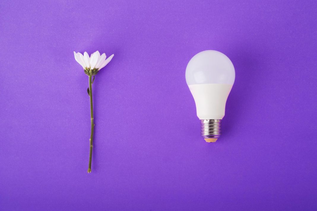 Массовое отключение света в Сочи планируется 6 ноября: полный список улиц