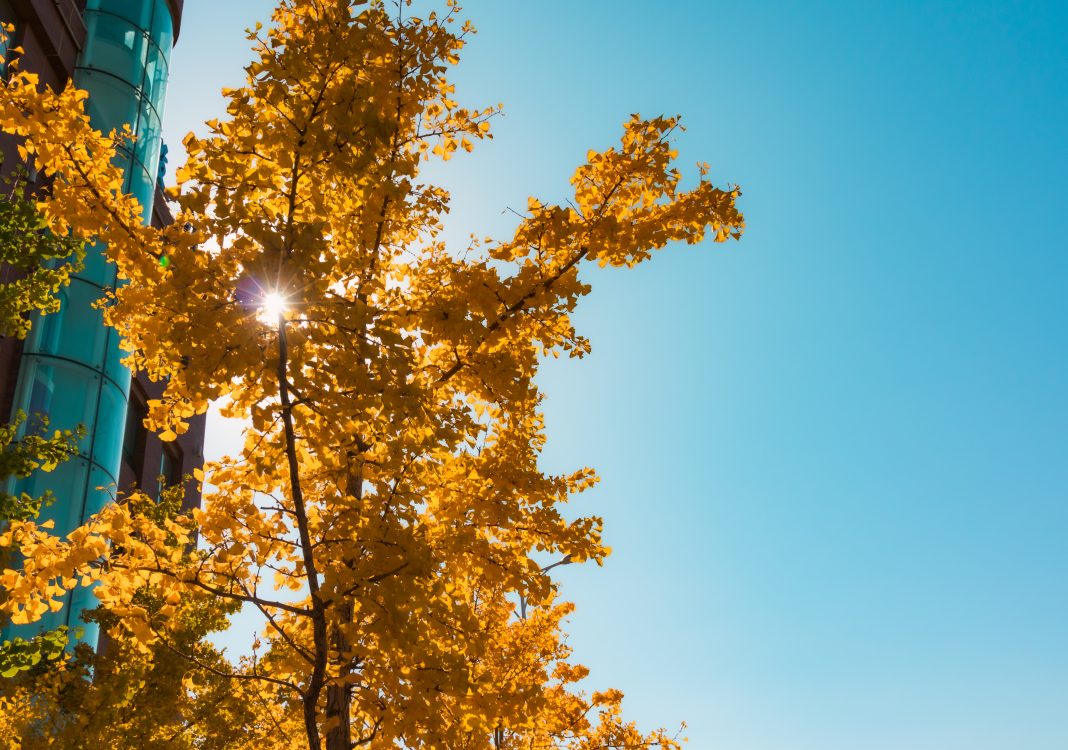 Шувалов: тепло в Сочи сохранится до 13-14 ноября