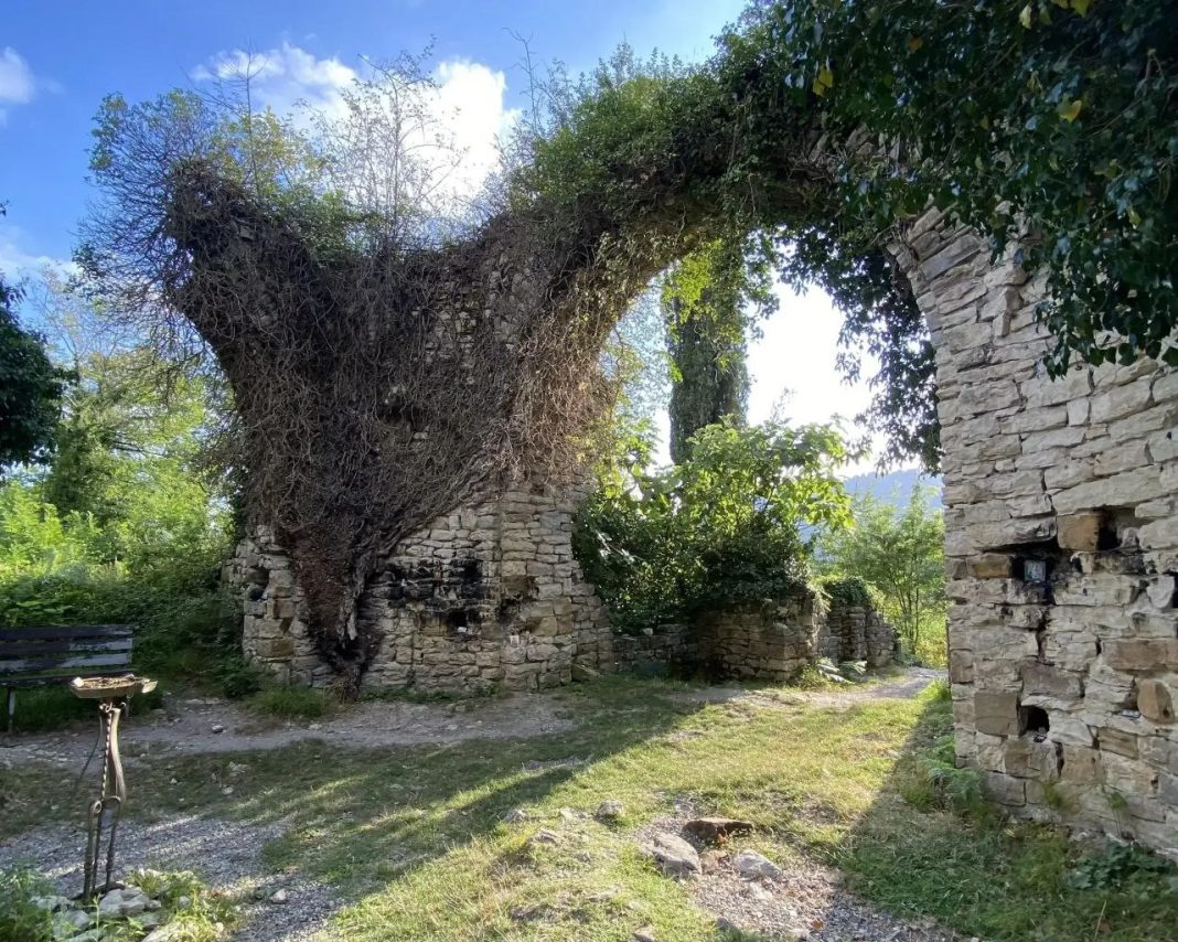 В Сочи разработали многоуровневый маршрут для познавательных путешествий