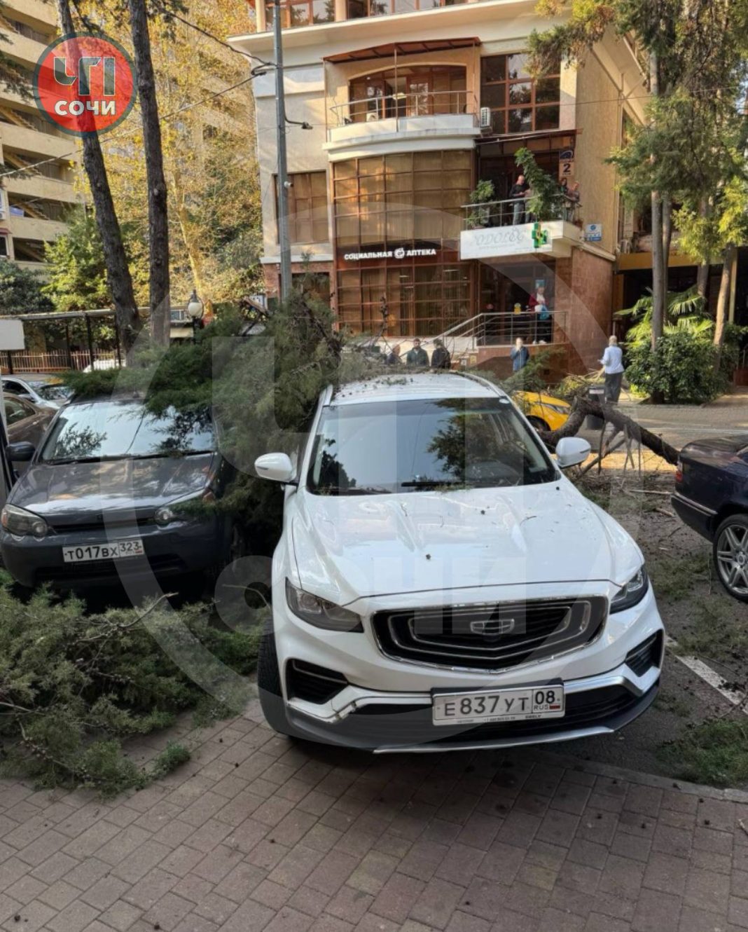 Огромная ветка рухнула на автомобили в центре Сочи
