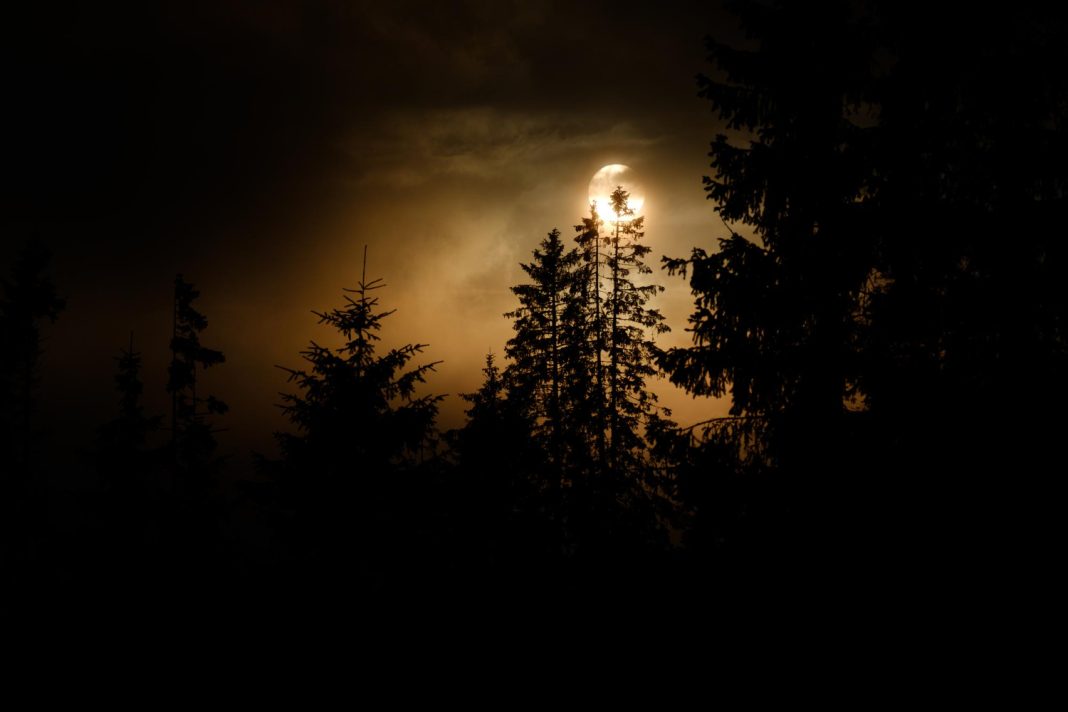 Две сочинки пошли на прогулку в районе горы Большое Псеушхо и не вернулись