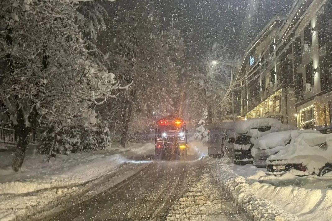 Непогода в Сочи: снегопад повалил 20 деревьев, повреждены ЛЭП