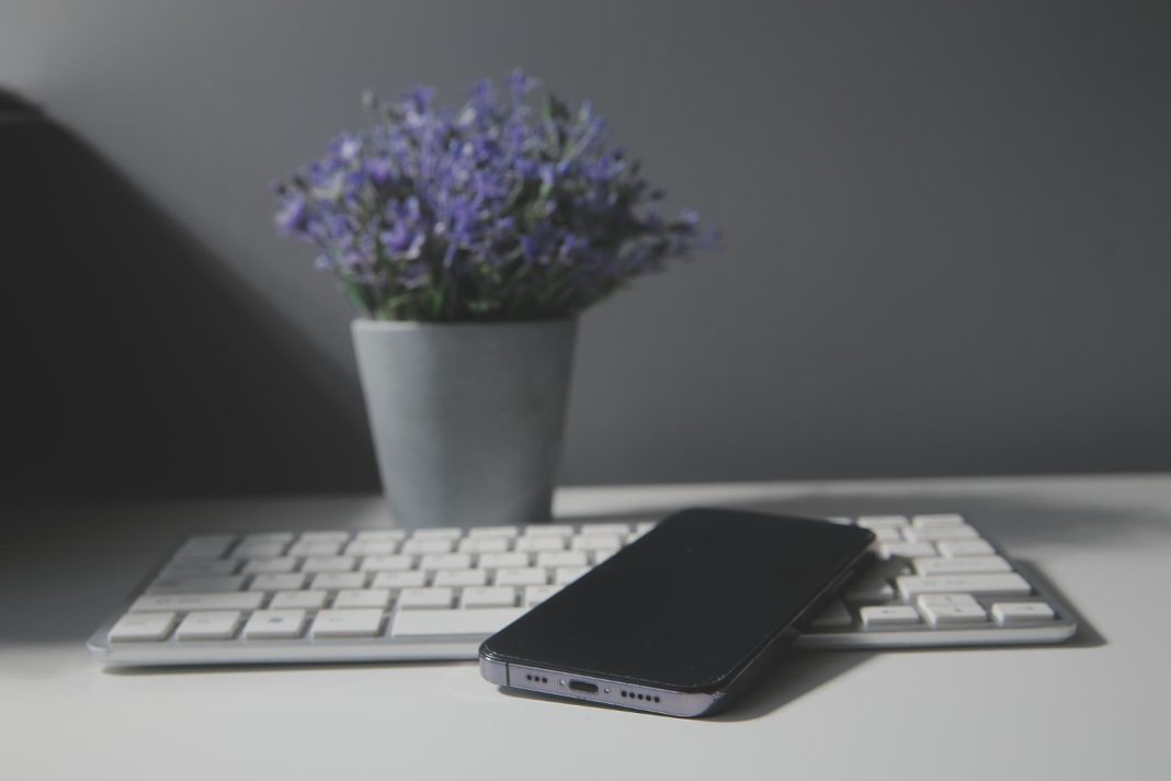 Правоохранители Сочи раскрыли кражу телефона по горячим следам