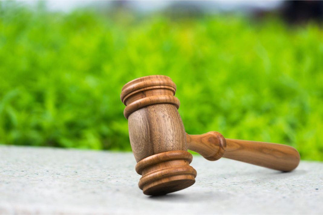 Суд Сочи закрыл дело зятя экс-главы краевого суда о мошенничестве с землей Нацпарка