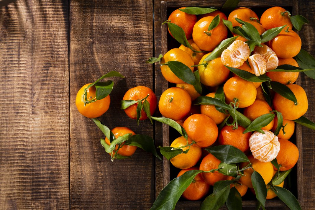 Солнечный груз: Абхазия отправила в Россию первые 11 тысяч тонн мандаринов