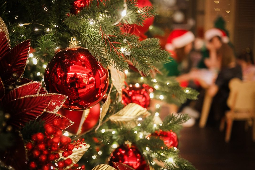 Новогодняя сказка в Сочи: более 250 праздничных событий ждут гостей на каникулы