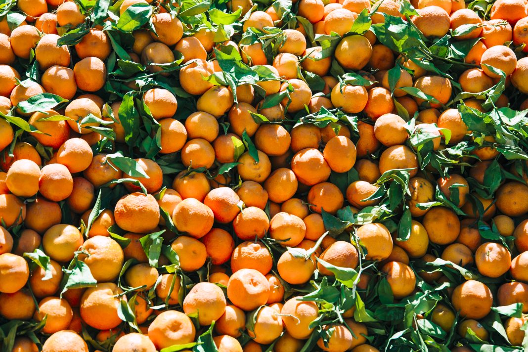 Не только мандарины: Россия нарастила импорт абхазской хурмы и фейхоа