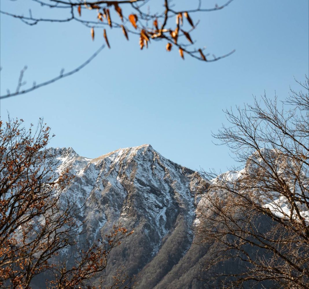 Высота сугробов в горах Сочи достигла 30 см