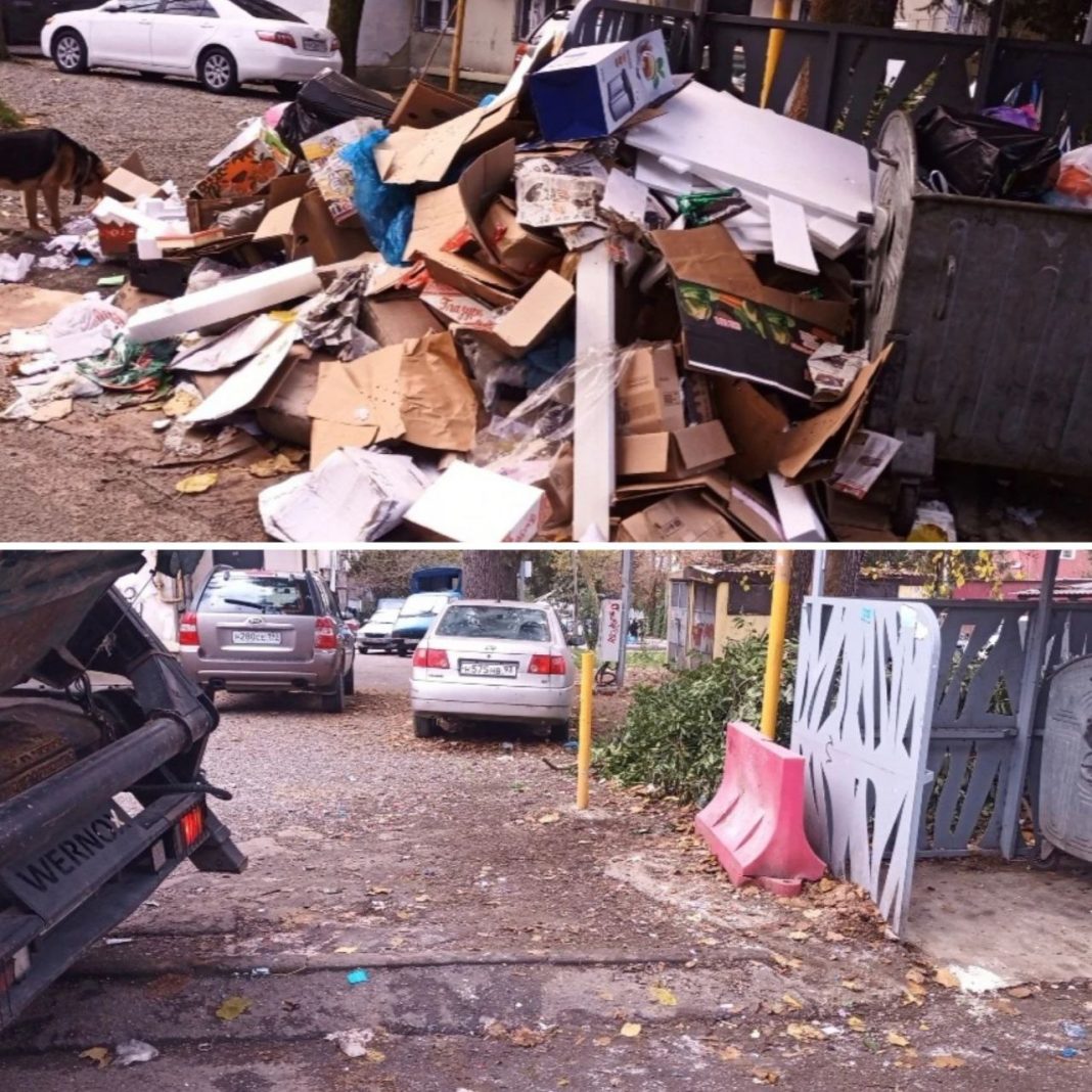 Более 660 тонн: коммунальные службы Сочи отчитались об объёмах вывезенного мусора