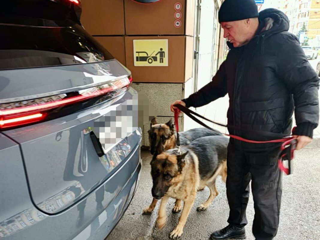 Новый год под защитой: на Кубани усилили безопасность в ТЦ