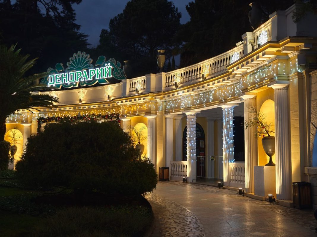 Среди пальм и магнолий: в субтропическом Дендрарии Сочи открылась ёлочная ярмарка