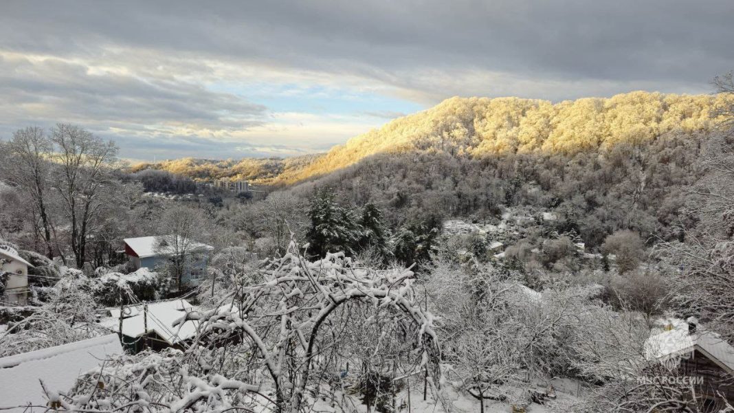 Дерево в Сочи пробило крышу дома рядом с детской кроватью