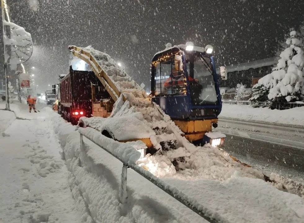 Снежный шторм в Сочи: более полусотни деревьев повалено, службы работают в усиленном режиме