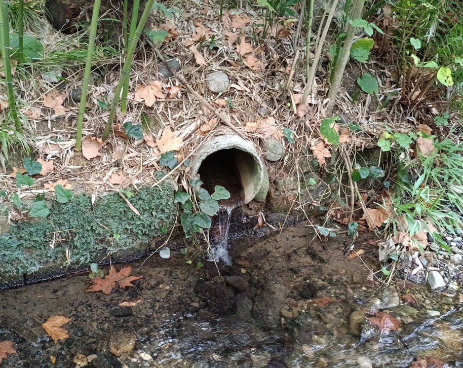 В Сочи обнаружили несанкционированный сброс стоков в ручей