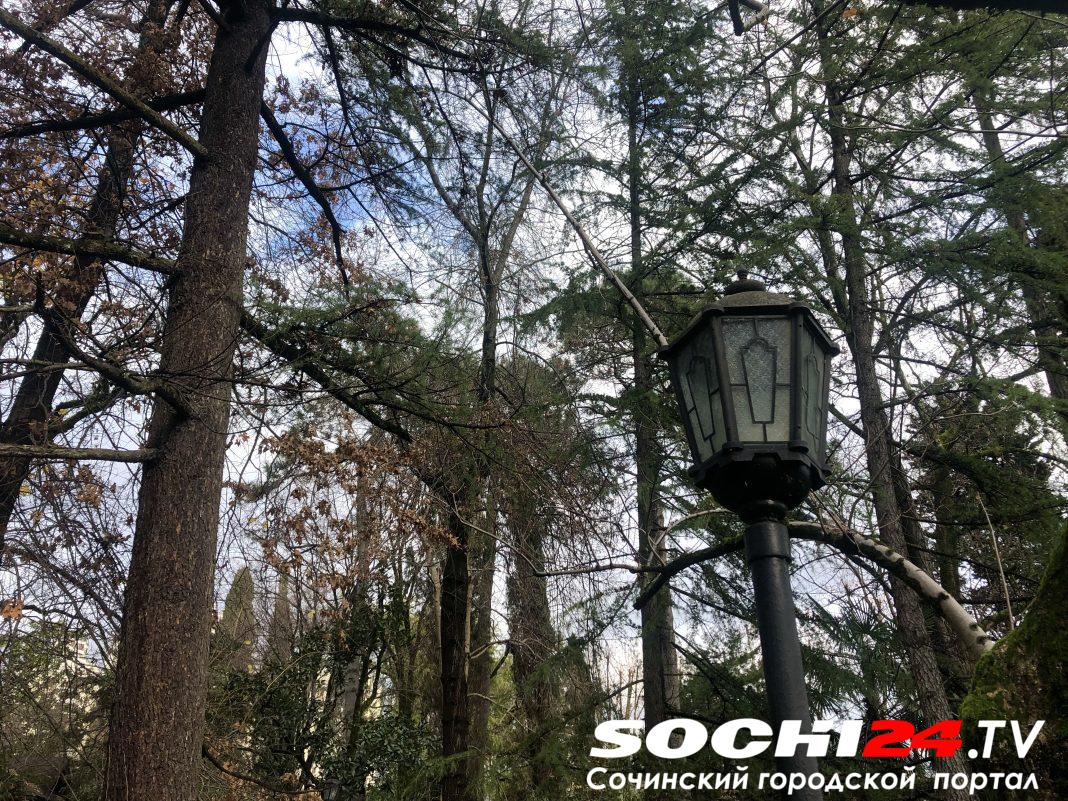 21 февраля в Сочи не будет света: список улиц