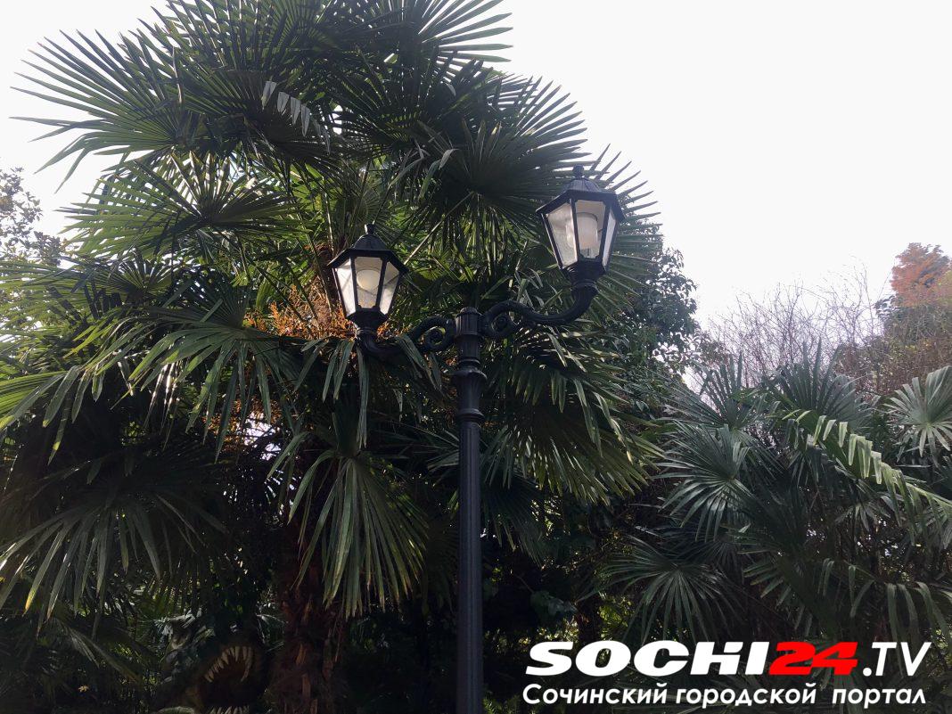 Массовое отключение света в Сочи планируется 10 февраля: полный список улиц