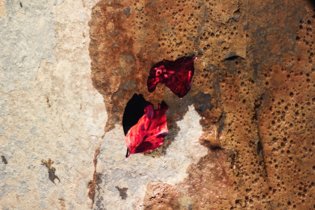 Атака беспилотника на Кубань: что известно об ударе по жилому сектору Кореновского района