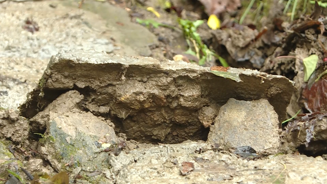 В Сочи сообщили о подвижке грунта на улице Камо в Хостинском районе