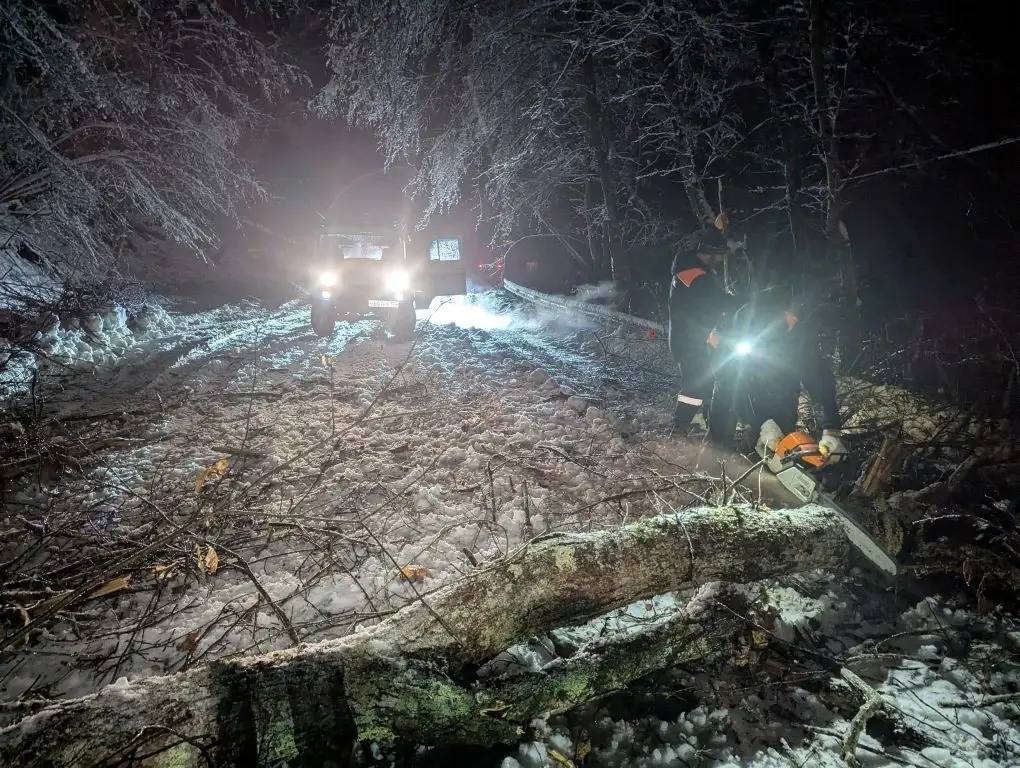Семью с детьми эвакуировали в Сочи: автомобиль заблокировало упавшее дерево на горной дороге