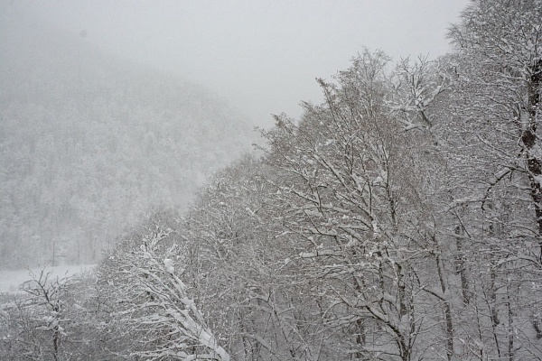 Лавины в горах Сочи: угроза сохраняется на дороге А-149 «Адлер – Красная Поляна»