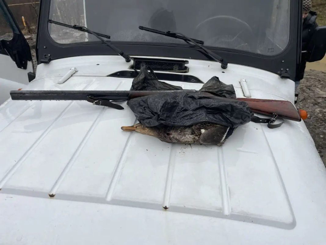 В Сочинском нацпарке задержали двух браконьеров