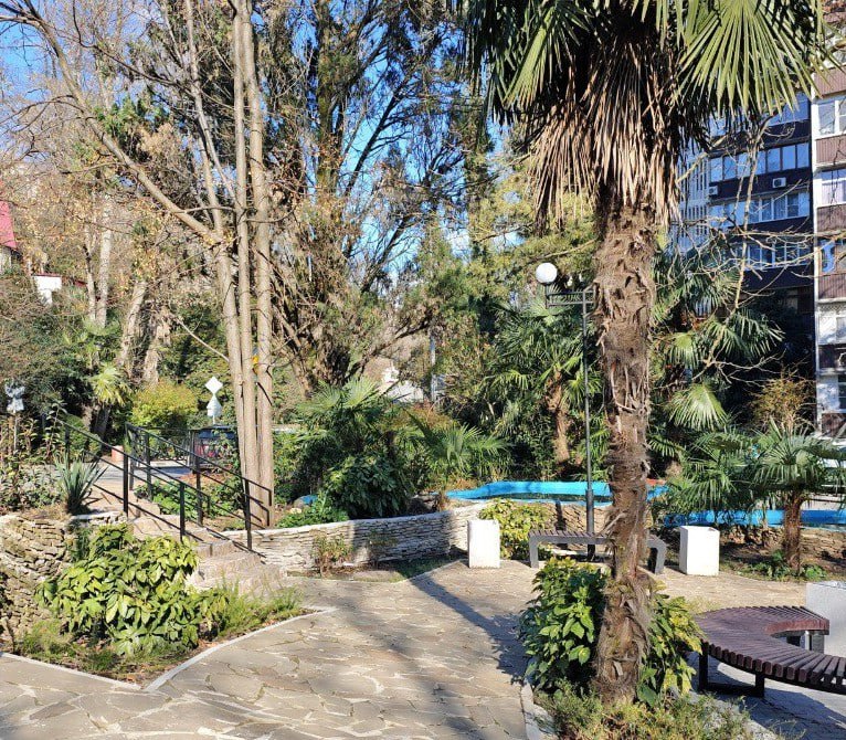 В Сочи проверяют состояние зеленых насаждений после масштабных высадок