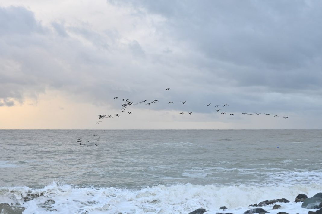 1 февраля в акватории Сочи будут проводиться учебные стрельбы