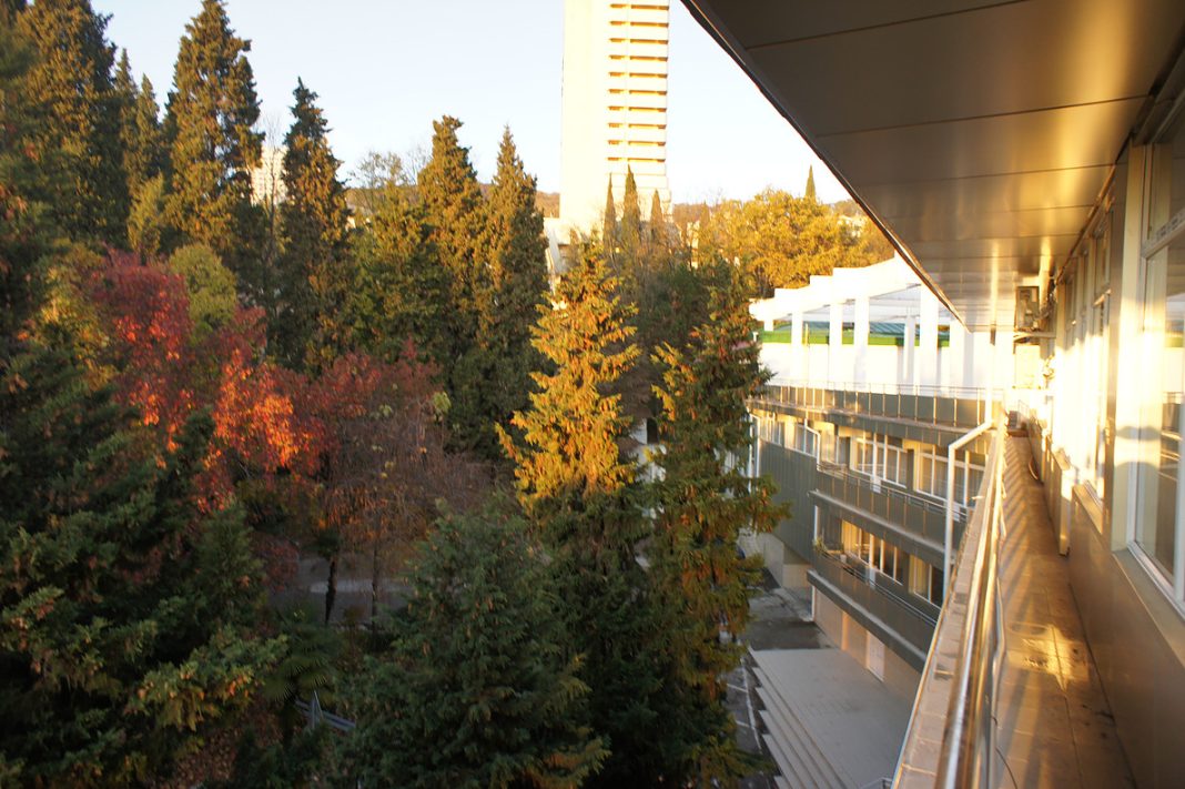 Суд отменил решение ФАС по закупкам сочинского санатория «Юность»