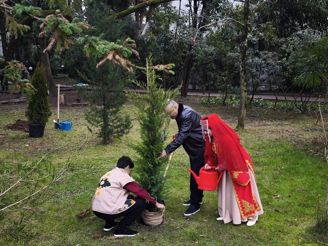 Десятки хвойных деревьев высадили в парке Сочи в рамках Года единства народов России