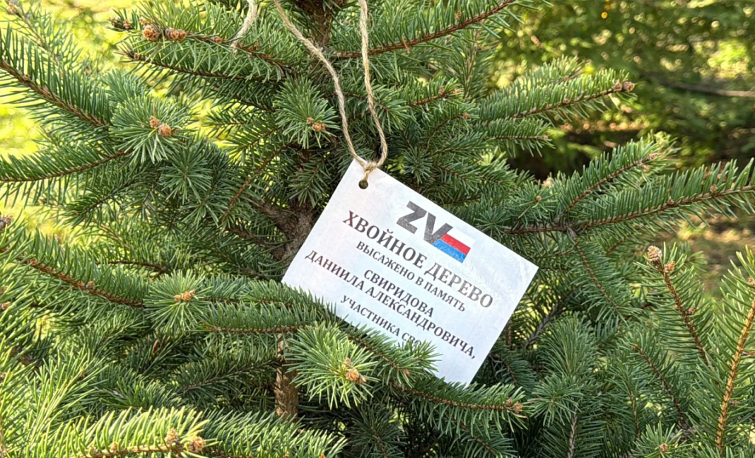 В сочинском парке высадили деревья в память о погибших участниках СВО