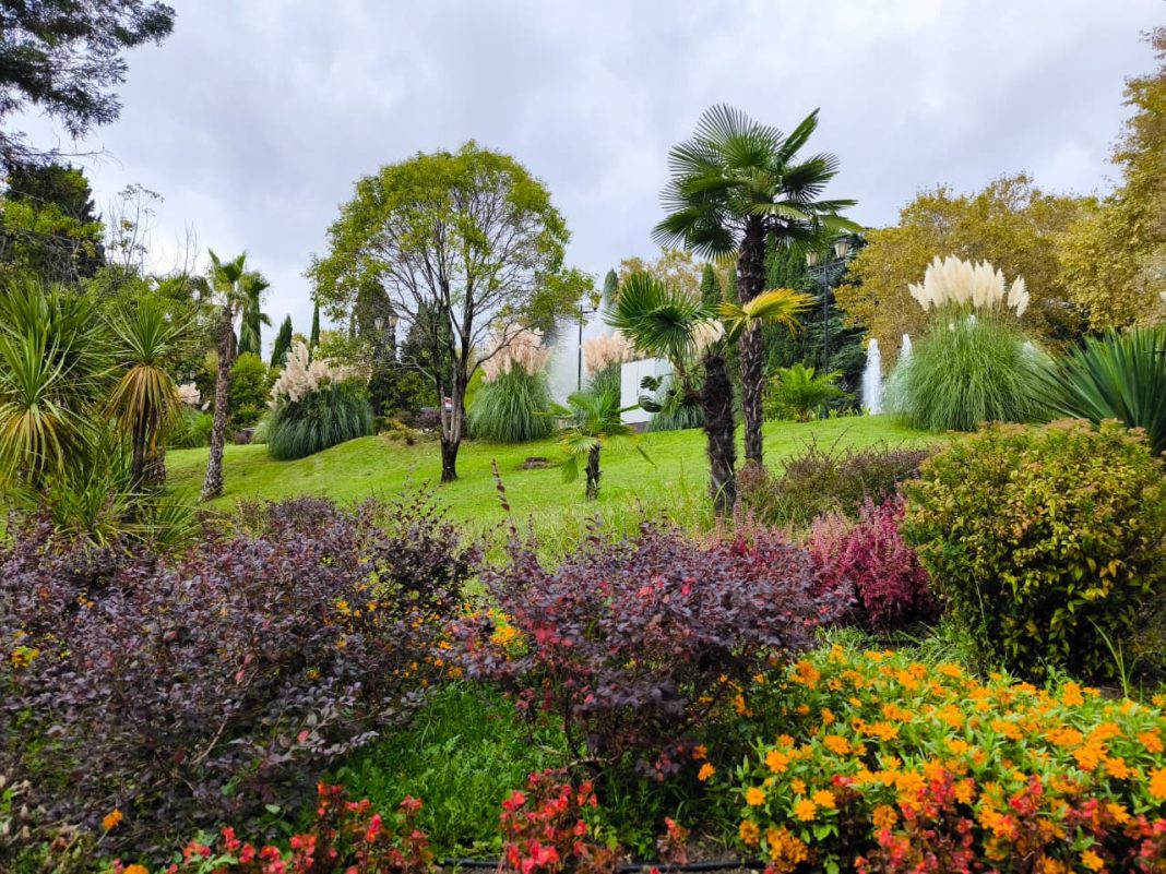 Сочи обновляет клумбы: в городе высадили уже более 10 тысяч цветов
