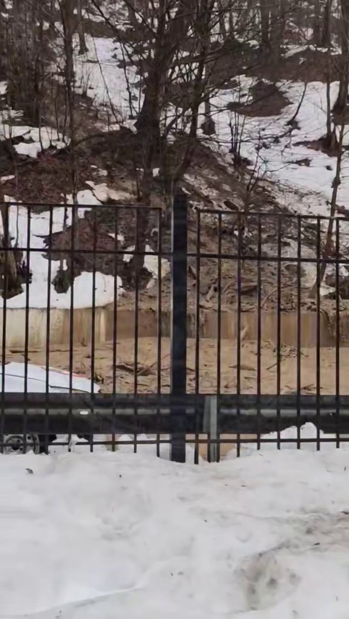 Сель в сочинском Эсто-Садке перекрыл дорогу: маршруты автобусов изменены