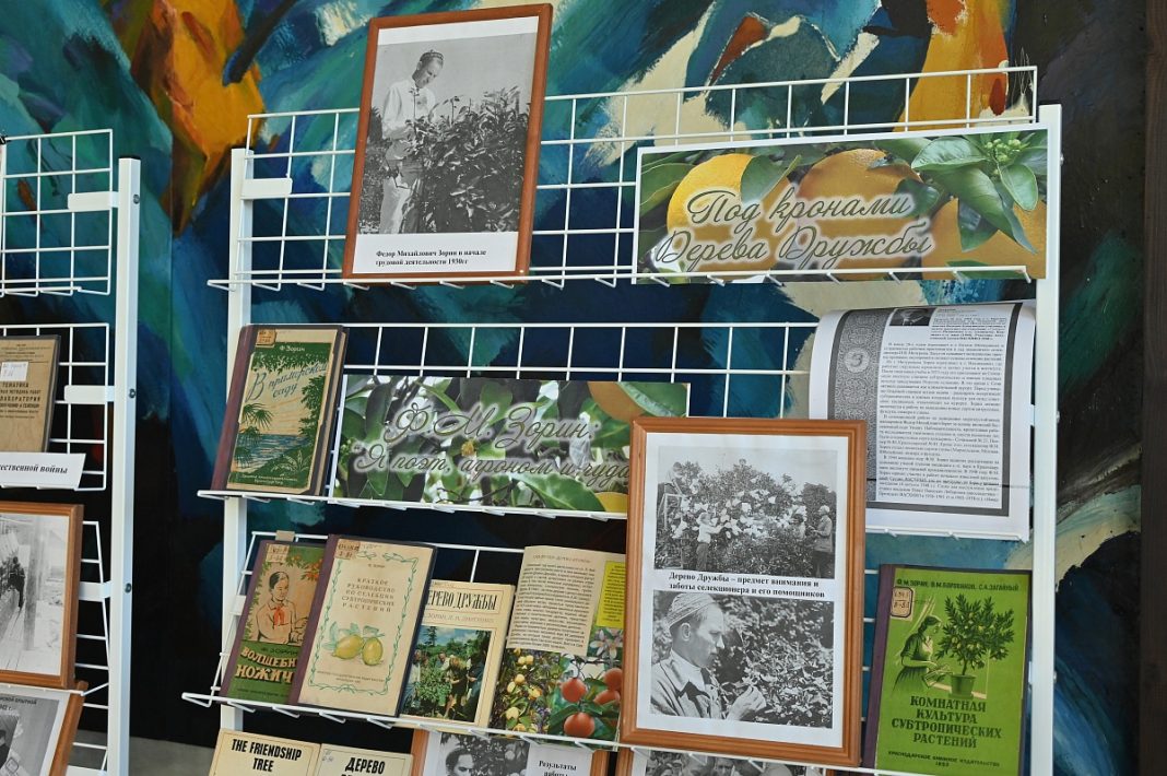 Уникальный сочинский музей «Дерево Дружбы» отмечает 45-летие