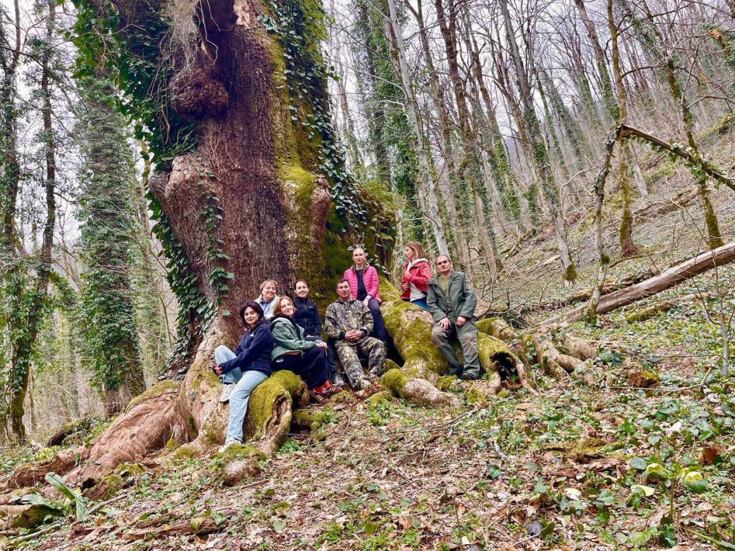 Сотрудники Сочинского нацпарка совершили экспедицию к «Царь-дубу»