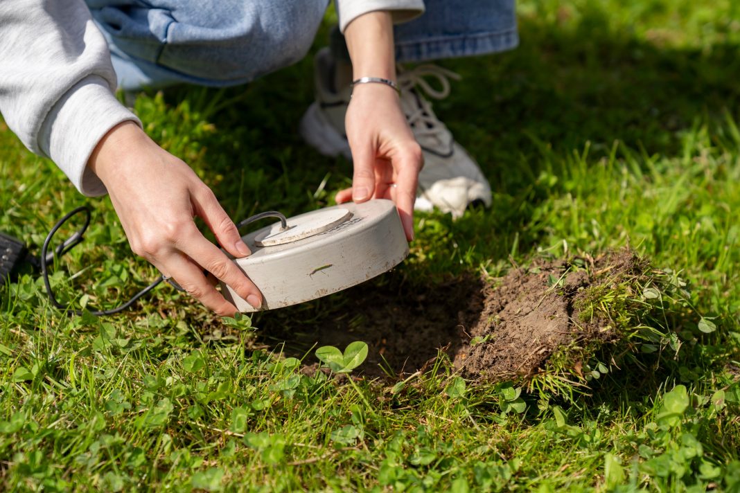 Когда газон вредит: учёные призвали отказаться от стандартного подхода к озеленению Сочи